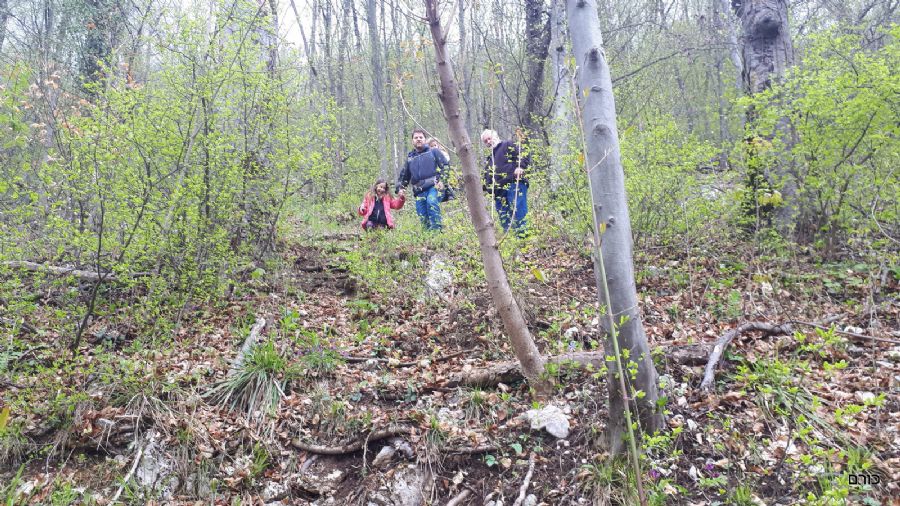 רומניה פסח 2019